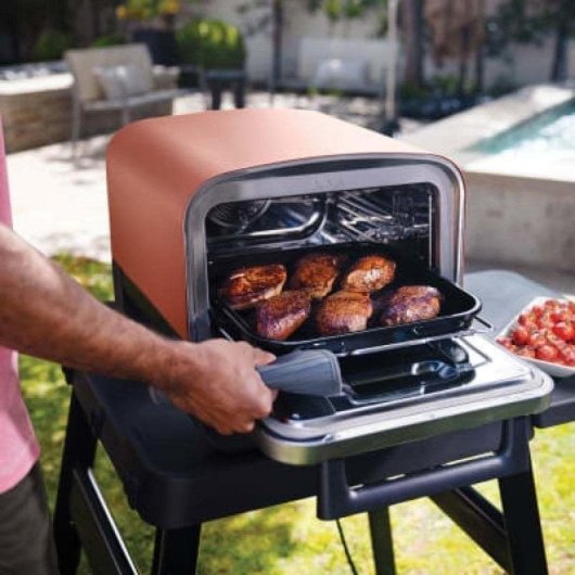Parrilla Ninja OO101EU 2400W Electricidad + Carbón Vegetal Negra/Roja