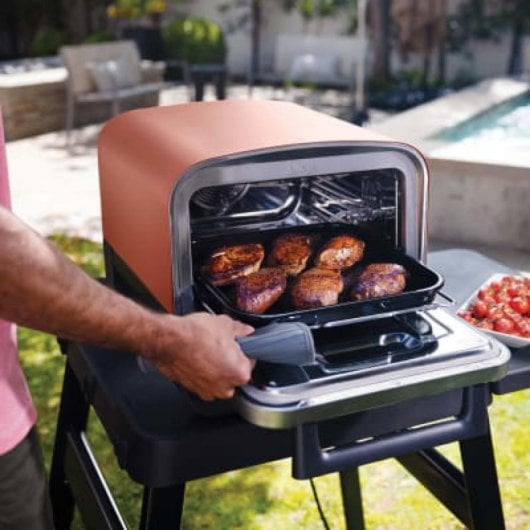 Grill Ninja OO101EU Elektro 2400W Kohle 8 Programme Schwarz Rot Silber