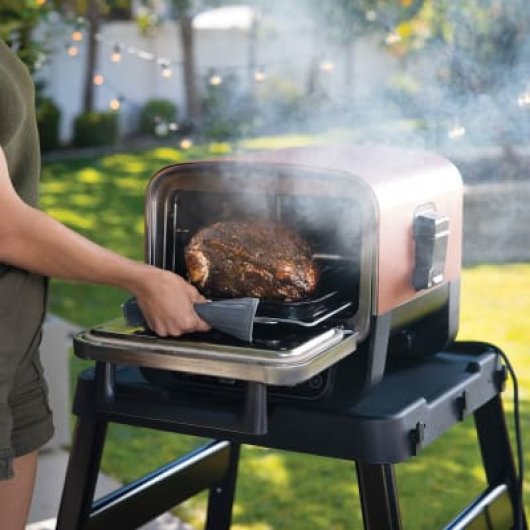 Ninja OO101EU Barbacoa/Parrilla Exterior Electricidad 2400W + Carbón Vegetal Negra/Roja