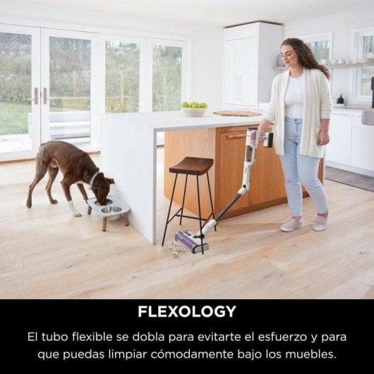 Aspirador sem Fio Shark IW1611EU 75W 60min Anti-emaranhamento Animais Alergias 0.42L