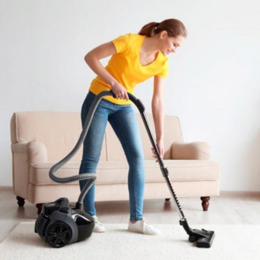 Staubsauger mit Beutel Ufesa Antek 900W Allergiker Tierhaare 3,5L