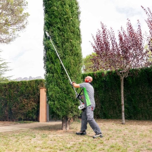 Greencut GM650X-6 Desbrozadora Multifunción 6 en 1 a Gasolina 65CC 4.9CV 2 Tiempos 6 Accesorios