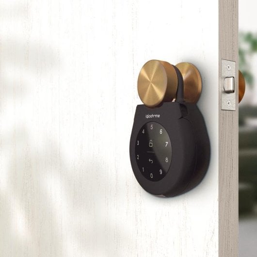 Türschloss Igloohome Keybox 3 Bluetooth Öffnung mit App und PIN-Code Wetterfest