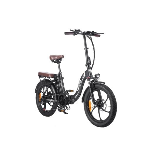 Fafrees F20 Pro Elektrofahrrad E-Bike 250 W Reichweite 80 km mit Scheibenbremsen Schwarz
