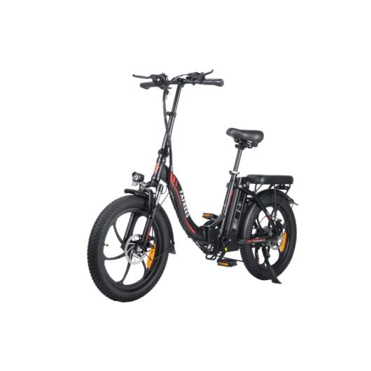 Fafrees F20 Vélo Électrique 250W Moteur 576Wh Batterie Autonomie 70km Noir