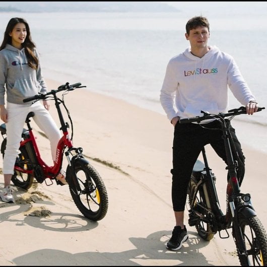 Fafrees F20 Vélo Électrique 250W Moteur 576Wh Batterie Autonomie 70km Noir
