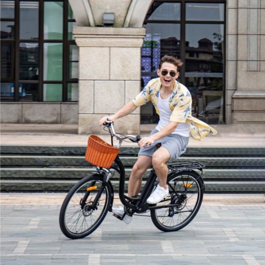 Dyu C6 Elektrofahrrad 26 Zoll, 350 W, 36 V, 12,5 Ah Akku, Reichweite 40 km, mit Scheibenbremsen, Schwarz