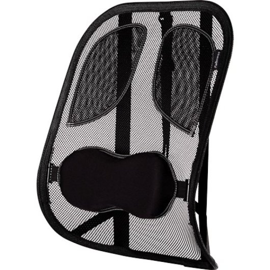 Fellowes Ergonomie Professionelles Netz-Rückenkissen