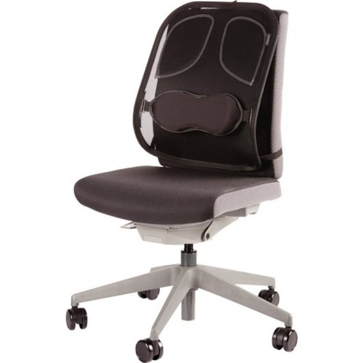 Fellowes Ergonomie Professionelles Netz-Rückenkissen