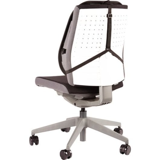 Fellowes Ergonomie Professionelles Netz-Rückenkissen