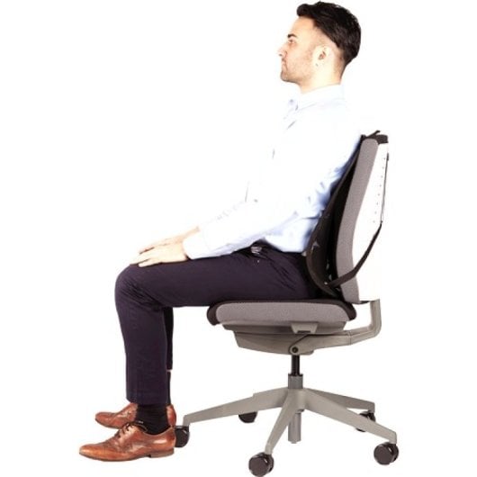 Fellowes Ergonomie Professionelles Netz-Rückenkissen
