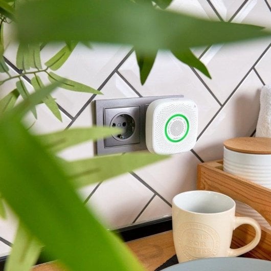 Rauch- und Gasmelder Shelly Gas CNG WLAN Alarm Echtzeitbenachrichtigung App Steuerung