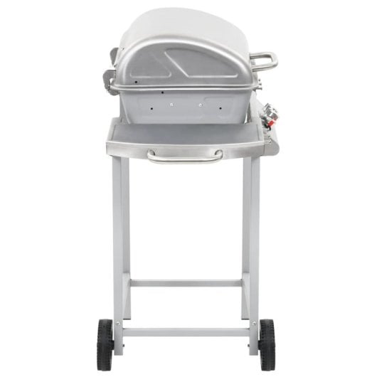 Barbecue à gaz portable Vidaxl 2 zones, argent, acier inoxydable