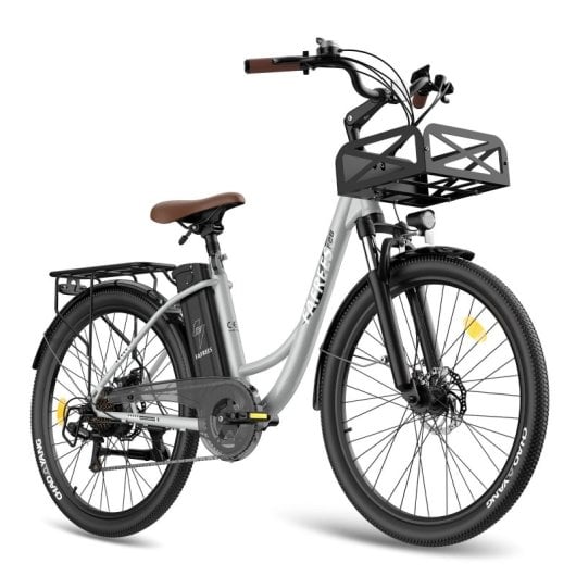 Fafrees F26 Langlebiges Elektrofahrrad 250W Motor 36V/20,3Ah Akku Reichweite 160km Grau