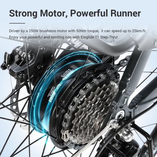 Eleglide T1 Step-Thru Elektrofahrrad 27,5" 250W 468Wh Dunkelgrau
