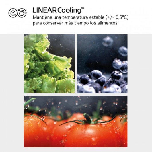 LG GSLC40PYPE frigorifero side-by-side Libera installazione Argento