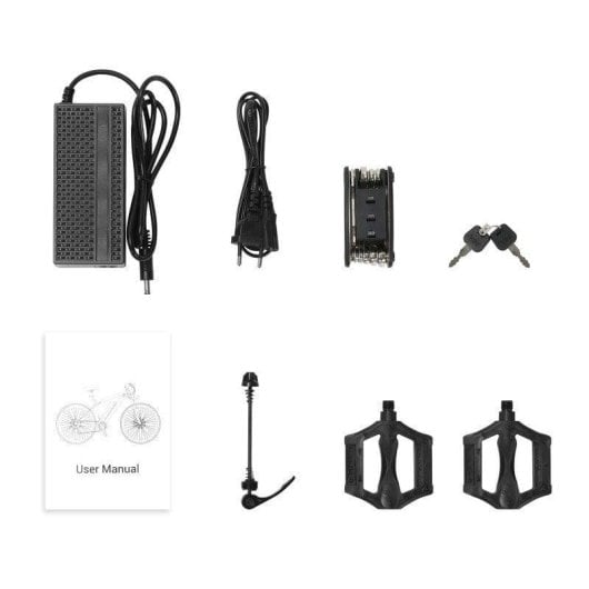Touroll U1 29 E-Bike 250W 45Nm Batterie 468Wh 65km 21 Gänge Shimano