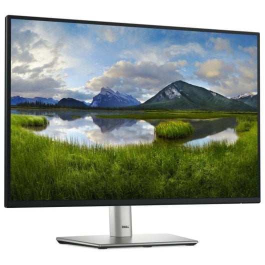 Dell P2425E 24.1" LED IPS FullHD 100Hz USB-C