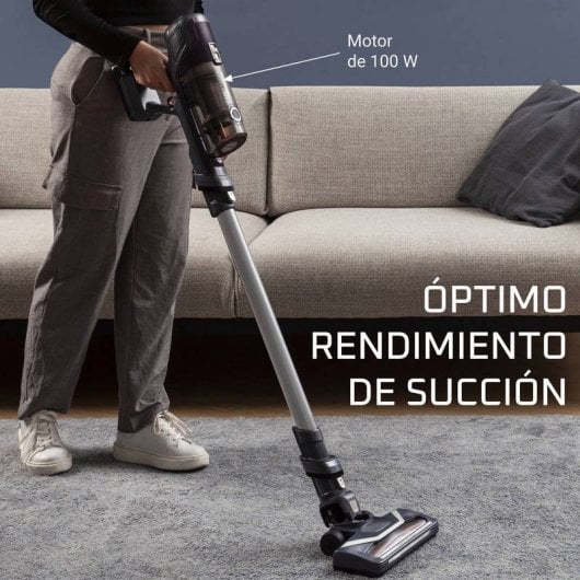 Rowenta X-Pert 6.60 Essential Aspiradora Escoba/Mano sin Cable 18V 100W Gris/Lila