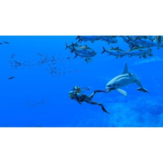 Endless Ocean: Luminous Nintendo Switch (FR)