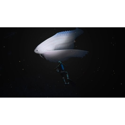 Endless Ocean: Luminous Nintendo Switch (FR)