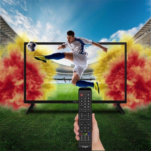 TV Engel LED LE2466T2 24" HD Ready 60Hz Dolby Audio Tuner Triplo