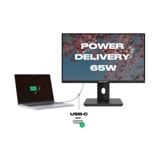 Écran PC JAPANNEXT JN-i215FLFHSP-C65W 21,5" LED IPS FullHD 75 Hz FreeSync USB-C