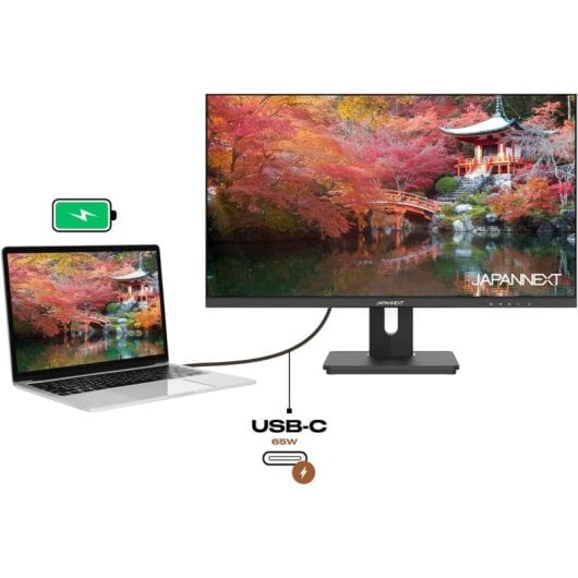 JAPANNEXT JN-IPS282UHDR-C65W 28" LED IPS UltraHD 4K FreeSync USB-C