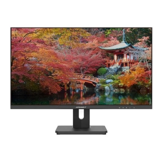 JAPANNEXT JN-IPS282UHDR-C65W 28" LED IPS UltraHD 4K FreeSync USB-C