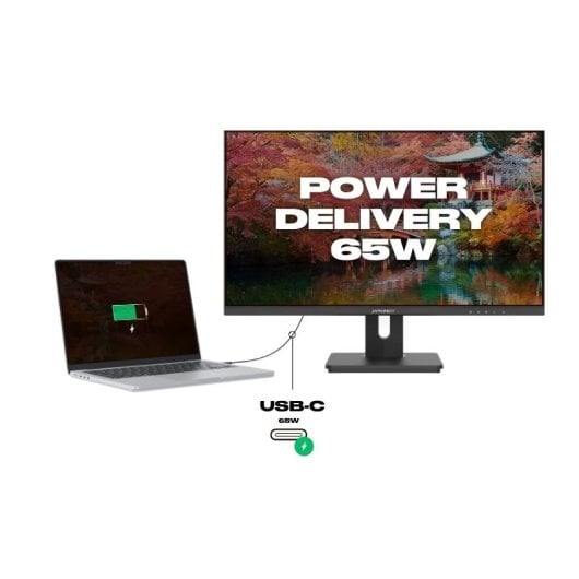 JAPANNEXT JN-IPS282UHDR-C65W 28" LED IPS UltraHD 4K FreeSync USB-C