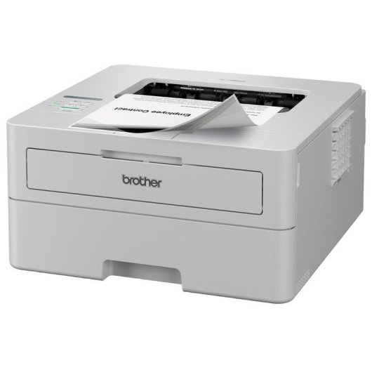 Imprimante Laser Monochrome Wi-Fi Brother HL-L2865DW avec Duplex Automatique