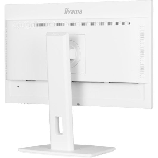 Iiyama Prolite XUB2497HSN-W1 24" LED IPS WQHD 100Hz USB-C