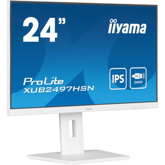 Iiyama Prolite XUB2497HSN-W1 24" LED IPS WQHD 100Hz USB-C