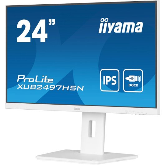 Iiyama Prolite XUB2497HSN-W1 24" LED IPS WQHD 100Hz USB-C