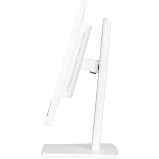 Iiyama Prolite XUB2497HSN-W1 24" LED IPS WQHD 100Hz USB-C
