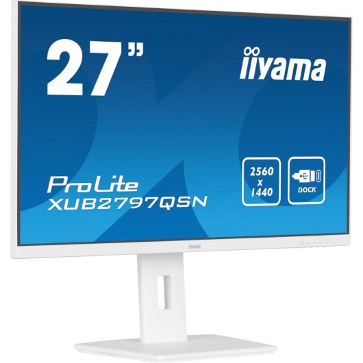 Iiyama Prolite XUB2797QSN-W1 27" LED IPS WQHD 100Hz USB-C