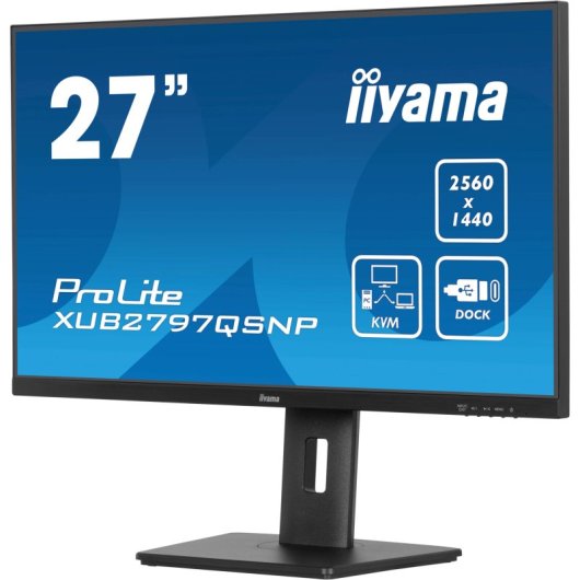 Iiyama Prolite XUB2797QSNP-B1 27" LED IPS WQHD 100Hz USB-C