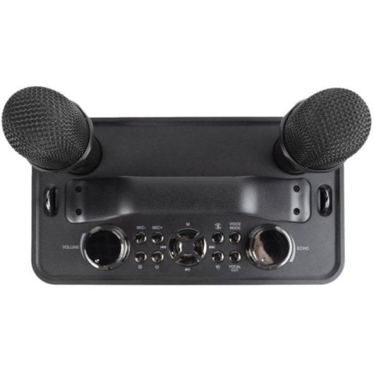 Prixton Partygo Karaoké Portable RGB avec 2 Microphones Bluetooth Lumière LED