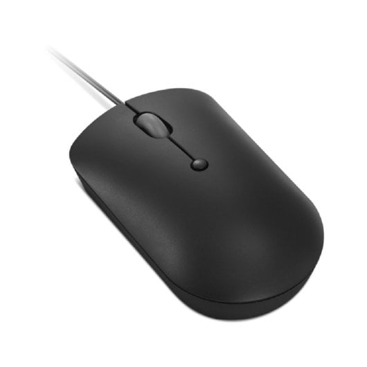 Lenovo 400 kompakte optische USB-C-Maus 2400 dpi Schwarz