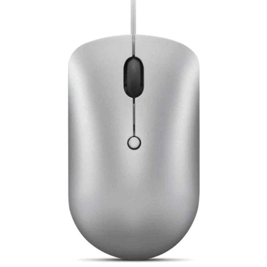 Lenovo 540 Ratón Óptico USB-C 2400DPI Plata