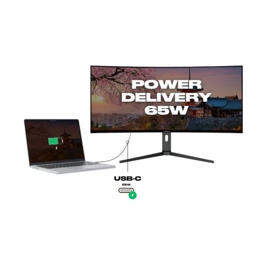 JAPANNEXT JN-5X40 39.7" LED IPS UltraWide WQHD FreeSync Curvo USB-C