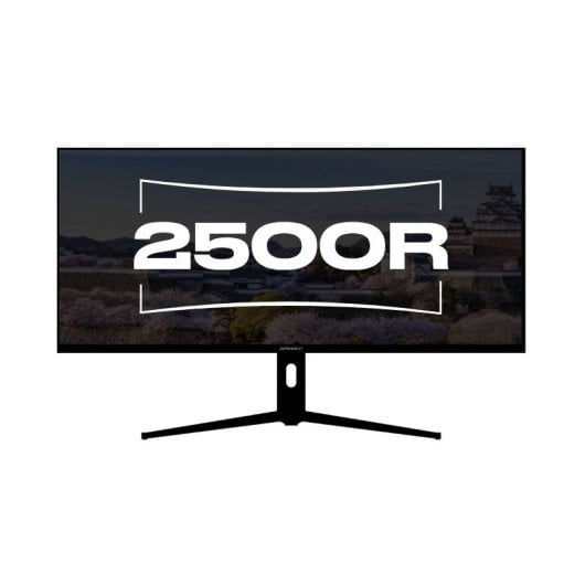 JAPANNEXT JN-5X40 39.7" LED IPS UltraWide WQHD FreeSync Curvo USB-C