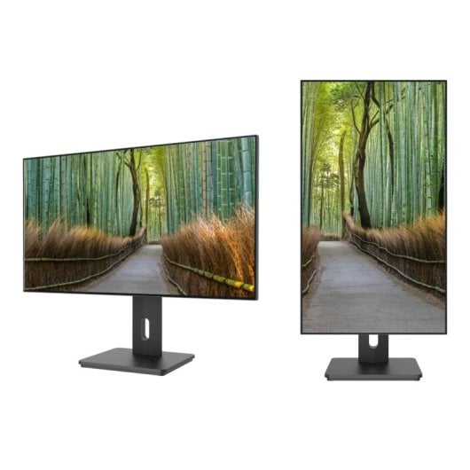 JAPANNEXT JN-27IPS4FLWQHDR-HSP 27" LED IPS QHD FreeSync