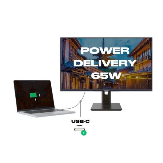 JAPANNEXT JN-IPS27FHDR-C65W-HSP 27" LED IPS FullHD 100Hz FreeSync USB-C