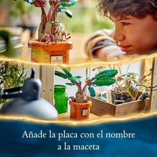 LEGO Harry Potter Mandragore 579 pièces