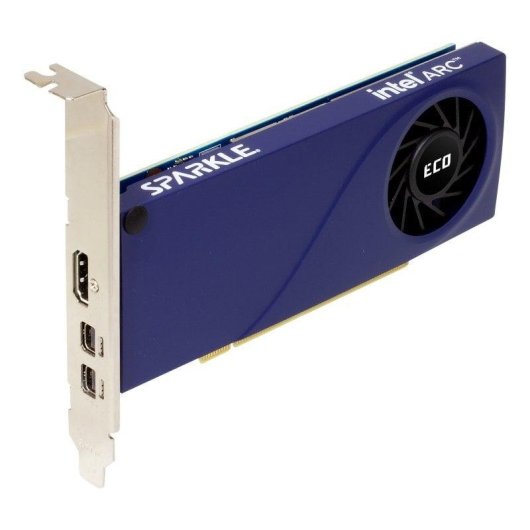 Grafikkarte Sparkle Intel Arc A310 4GB GDDR6