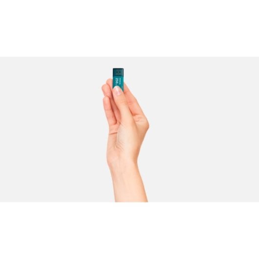 Kioxia LU301L256GG4 clé USB 256 Go USB type A 3.2 Gen 1 (3.1 Gen 1) Bleu