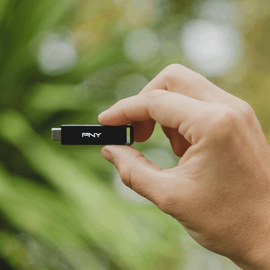 PNY Elite-X Memoria USB 256 GB USB Tipo C Negro