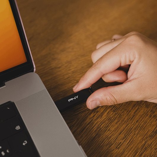 PNY Elite-X Memoria USB 256 GB USB Tipo C Negro
