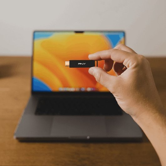 PNY Elite-X Memoria USB 256 GB USB Tipo C Negro